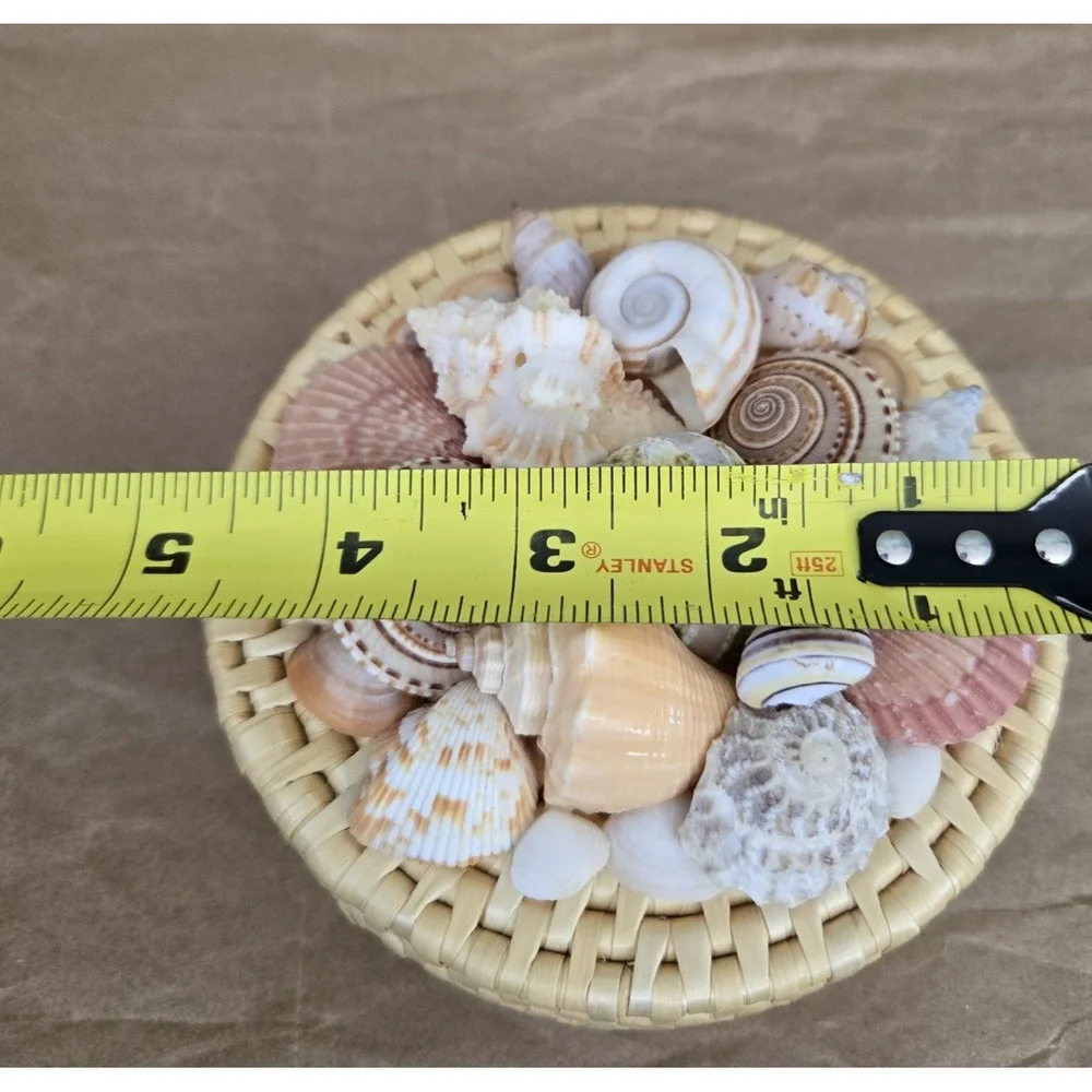 Woven Coasters  (6)‎ w/ Matching Decorative Basket Colorful Shells Beach Coastal
